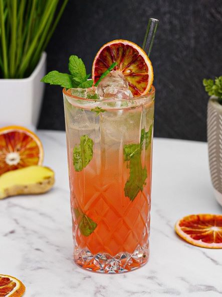 The Mojito garnished with mint and dried citrus